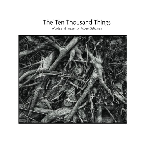 the-ten-thousand-things-robert-saltzman-front-cover